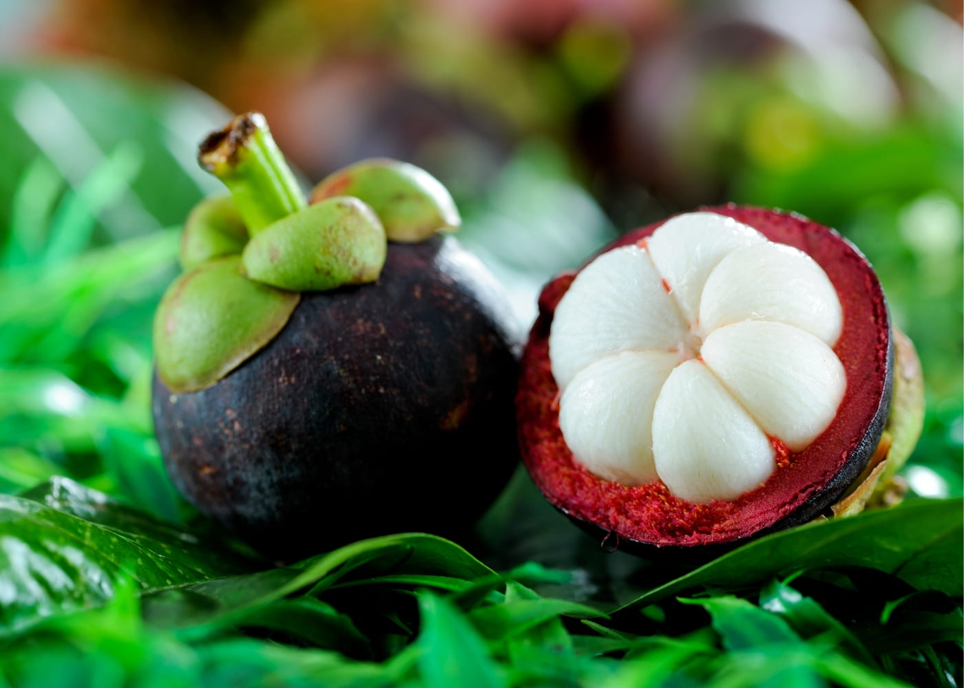 สมาคมผู้ส่งออกและชาวสวนทุเรียนหลังสวน