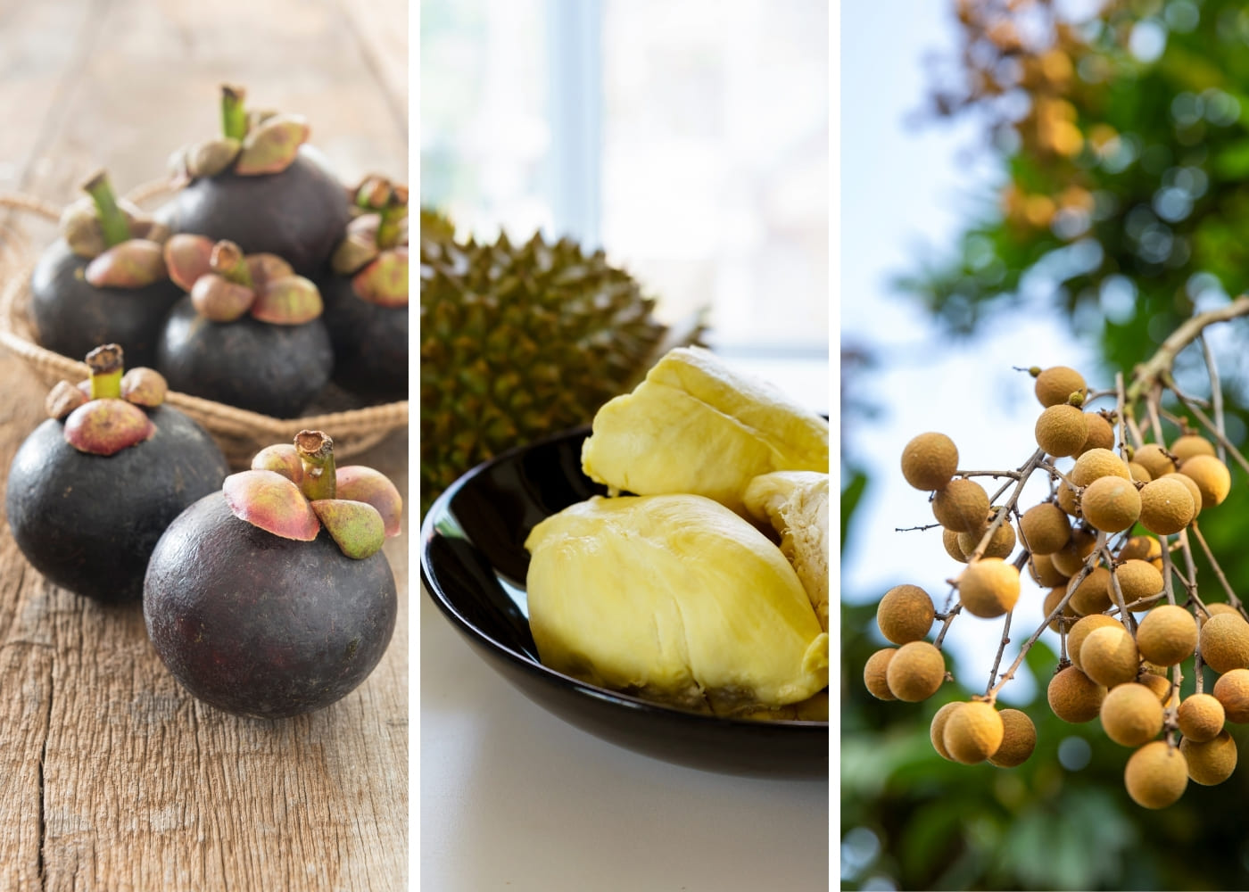 สินค้าสมาคมผู้ส่งออกและชาวสวนทุเรียนหลังสวน